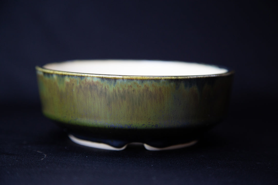 Metallic Seaweed Bonsai Pot